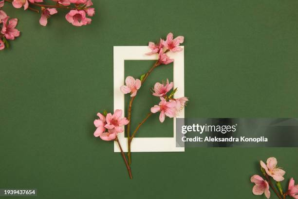 spring flowers border design - branches of pink and white peach, cherry and apricot flowers blossom on dark green background with white picture frame, flat lay, copy space. - fiore di pesco foto e immagini stock
