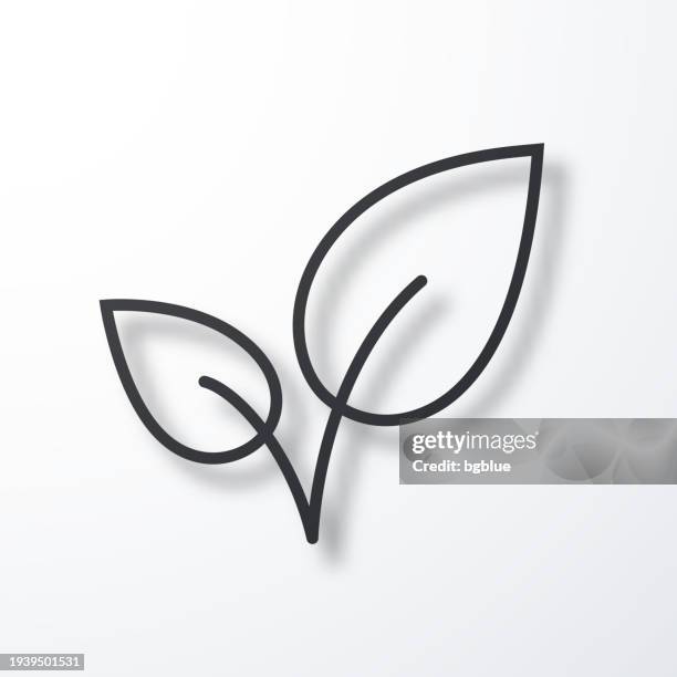 leaves. line icon with shadow on white background - black tea leaf stock illustrations