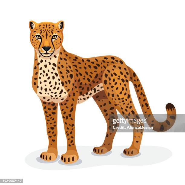 ilustraciones, imágenes clip art, dibujos animados e iconos de stock de elegante guepardo. tatuaje de guepardo. diseño creativo de la mascota. - piel leopardo