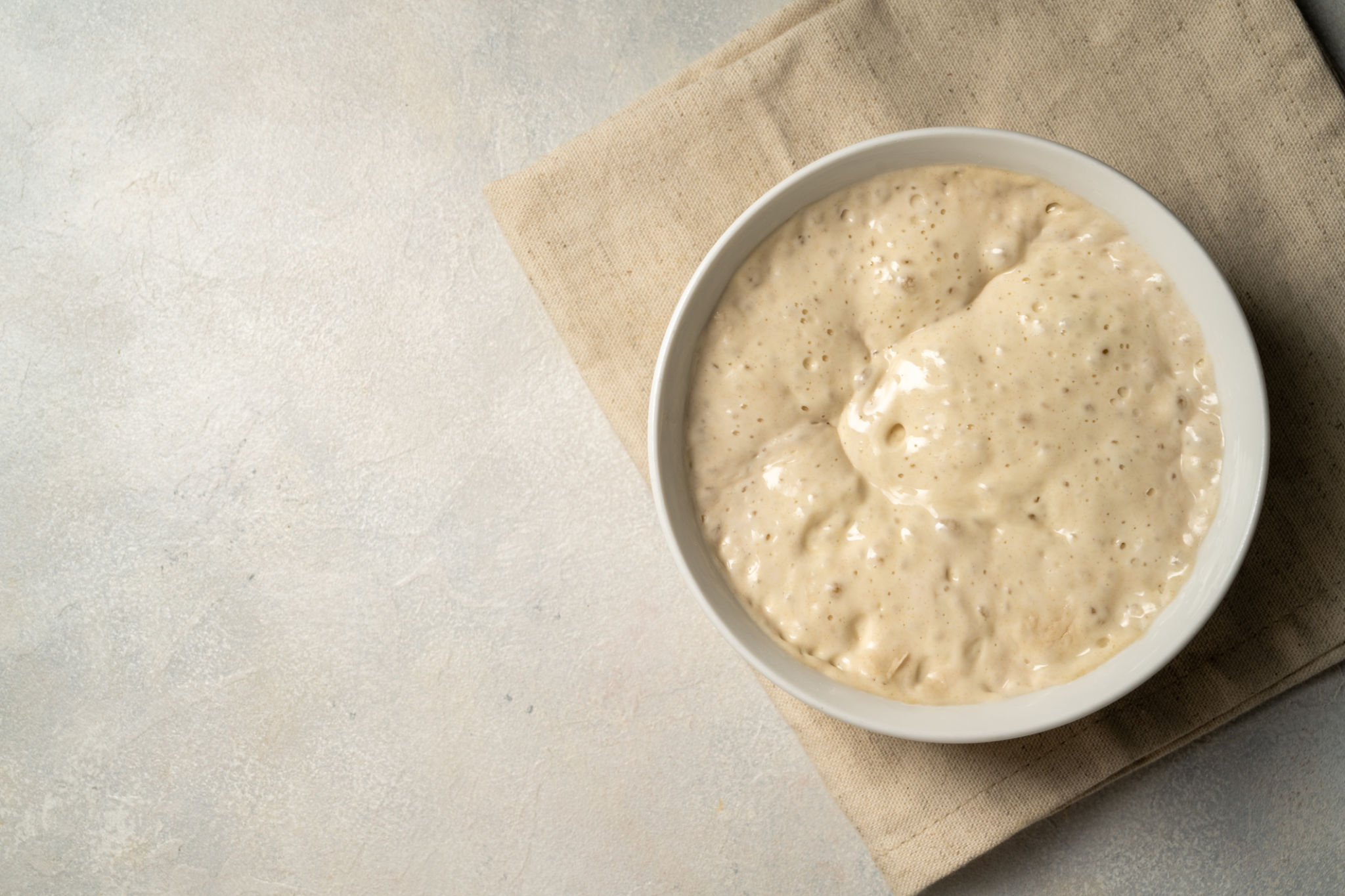 sourdough starter