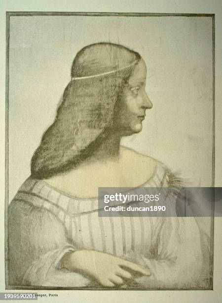 ilustraciones, imágenes clip art, dibujos animados e iconos de stock de retrato de la marquesa isabella d'este, según leonardo da vinci, arte renacentista - isabella deste