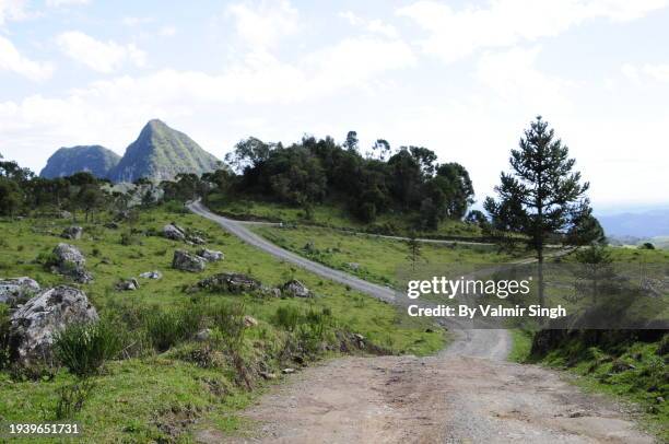 sebold paths - nuevo leon state stock pictures, royalty-free photos & images