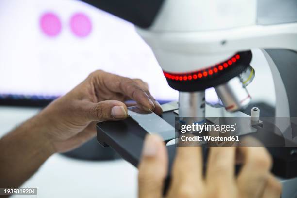 Lab Microscope Slide Photos and Premium High Res Pictures - Getty Images