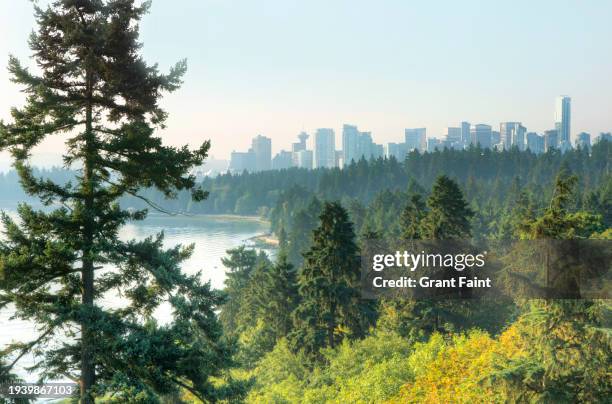 aerial view of vancouver - stanley park fotografías e imágenes de stock