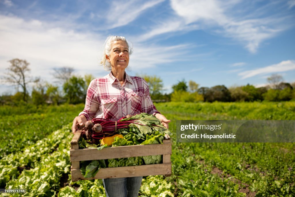 Glückliche Frau erntet Bio-Gemüse in einem Gemeinschaftsgarten