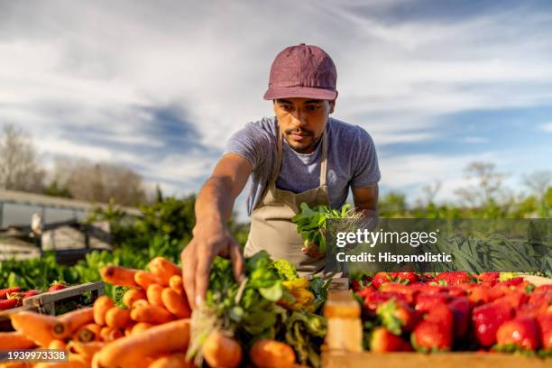 farmer selling his produce at a farmer's market - trabalhador rural - fotografias e filmes do acervo