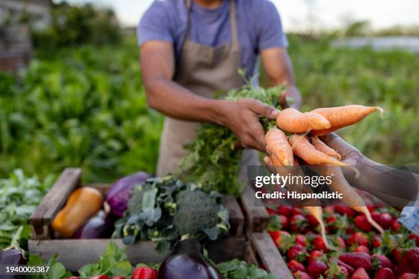 close-up on a man selling carrots at a farmer's market - culturas imagens e fotografias de stock