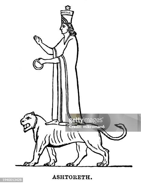 old engraved illustration of ashtoreth riding on a lion (an ancient semitic fertility goddess, identified with astarte and ishtar) - goddess ishtar stock-fotos und bilder
