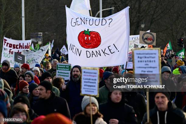 Participants march with a banner with the lettering 'Genetically modified food - no thanks' during a protest under the title 'We are fed up with...