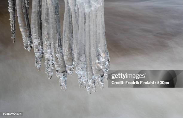 close-up of icicles on frozen lake - årstid stock-fotos und bilder
