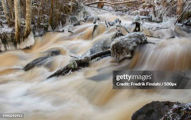 scenic view of waterfall in forest - vätska stock pictures, royalty-free photos & images