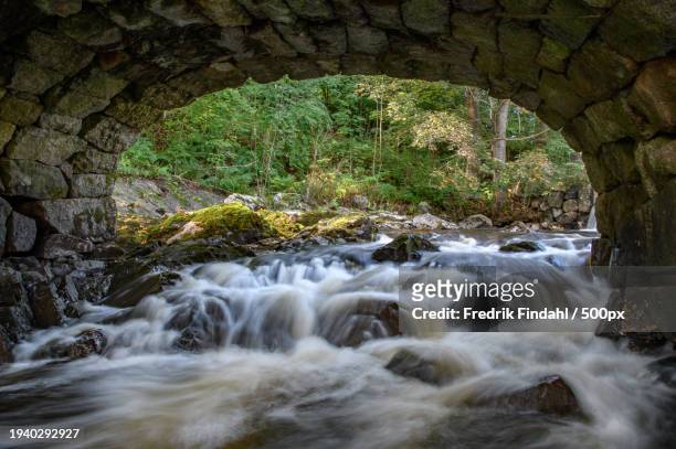 view of waterfall in forest - vatten fotografías e imágenes de stock