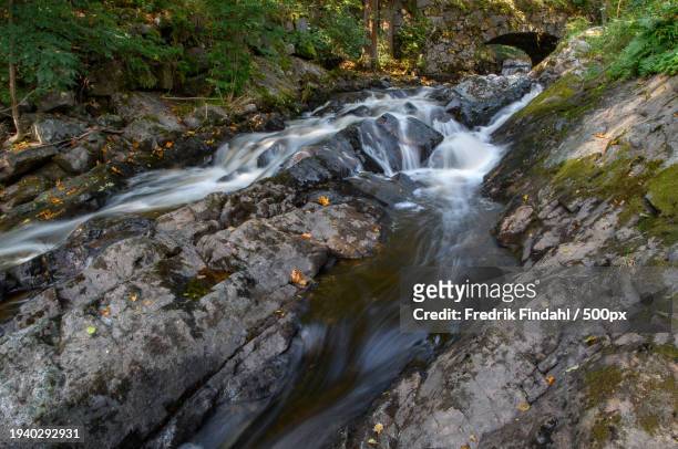 scenic view of waterfall in forest - vätska stock pictures, royalty-free photos & images