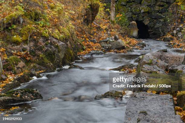 scenic view of stream flowing through rocks in forest during autumn - vatten fotografías e imágenes de stock