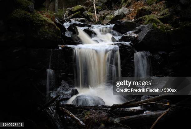 scenic view of waterfall in forest - vätska stock pictures, royalty-free photos & images