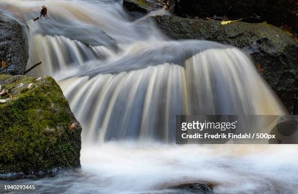 scenic view of waterfall in forest - vätska stock pictures, royalty-free photos & images