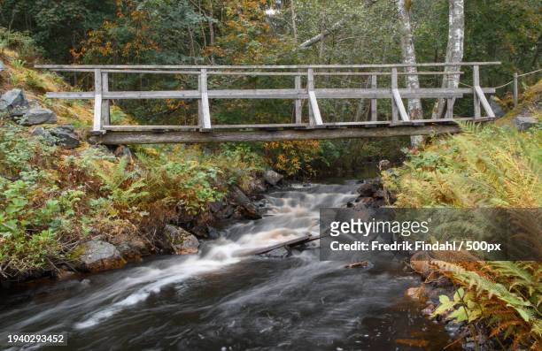 high angle view of bridge over river in forest - vatten stock-fotos und bilder