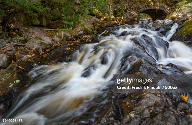 scenic view of waterfall in forest - vatten stock-fotos und bilder