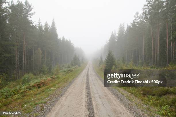 empty road amidst trees in forest against sky - årstid stock-fotos und bilder