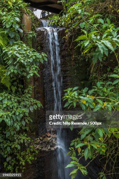scenic view of waterfall in forest - turismo urbano stock-fotos und bilder