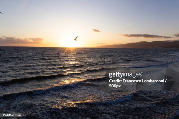 scenic view of sea against sky during sunset,santa monica,california,united states,usa - viaggio di nozze stock pictures, royalty-free photos & images