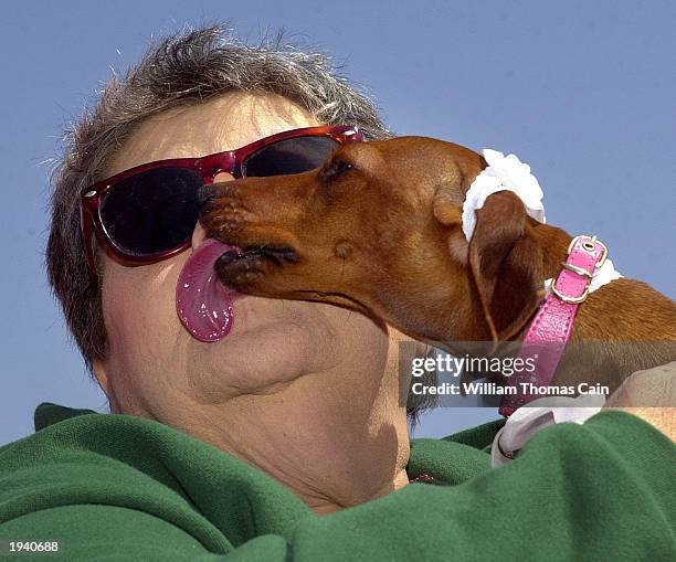 Princess Bella kisses her owner, Vera Cimino, of Ocean City, New Jersey while attending the Woofin' Paws Easter Pet Parade and Fashion Show April 19,...