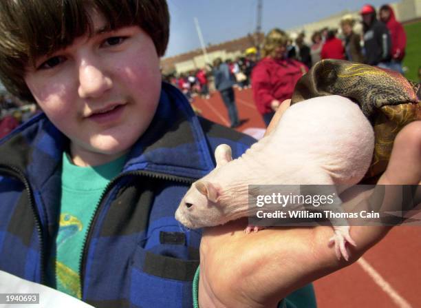 Dustin Baker, of Lancaster, Pennsylvania, holds his Mexican Hairless Rat named Chiquita, as they attend the Woofin' Paws Easter Pet Parade and...