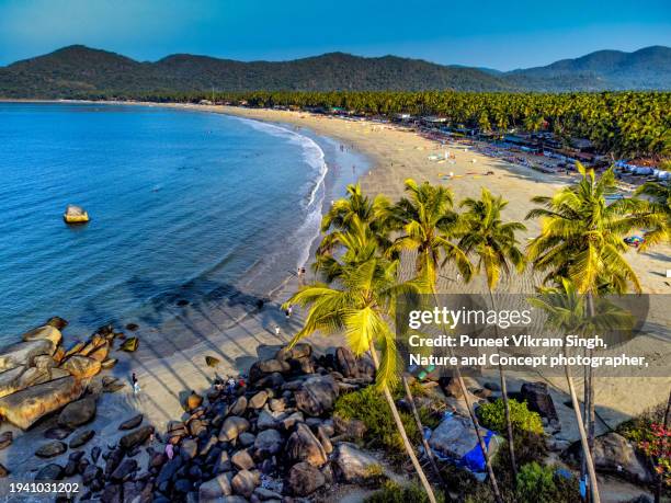 early morning view of beautiful palm trees in the backdrop of colourful sea water and south goa hills at palolem, canacona, south goa, india. - palolem beach stock pictures, royalty-free photos & images