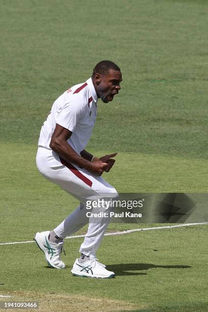 Justin Greaves of the West Indies celebrates the wicket of Usman Khawaja of Australia during day two of the First Test in the Mens Test match series...