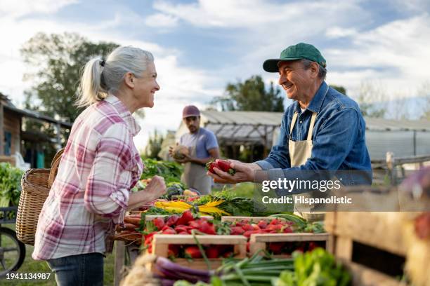 happy farmer selling organic strawberries to a client at a farmer's market - agricultural fair stock pictures, royalty-free photos & images