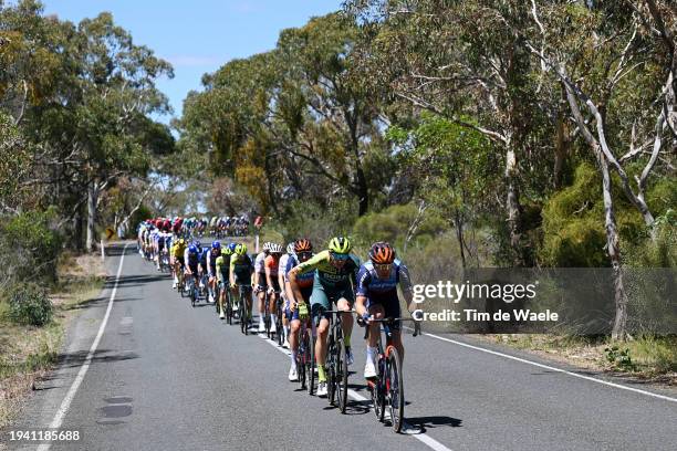 Roger Adria of Spain and Team BORA - Hansgrohe and Michael Hepburn of Australia and Team Jayco AlUla lead the peloton during the 24th Santos Tour...