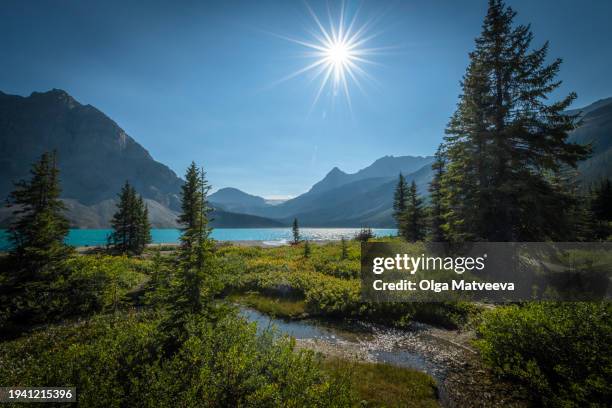 sun burst over bow lake - bow river stock pictures, royalty-free photos & images