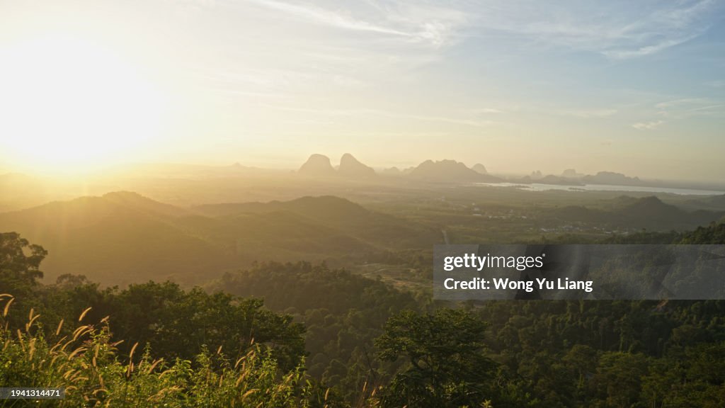 Rainforest view at Wang Kelian, Perlis , Malaysia