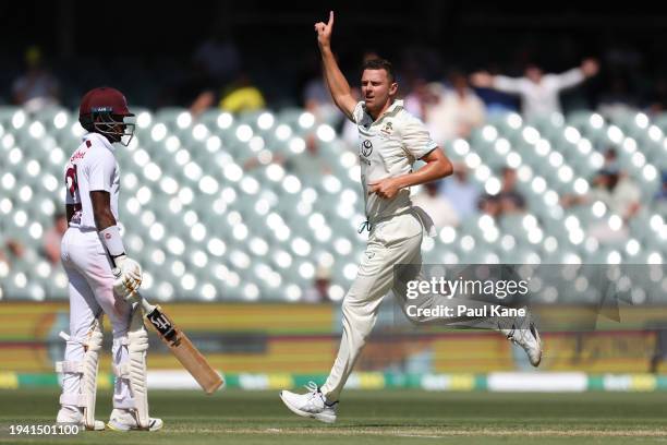 Josh Hazlewood of Australia celebrates the wicket of Alick Athanaze of the West Indies during day two of the First Test in the Mens Test match series...