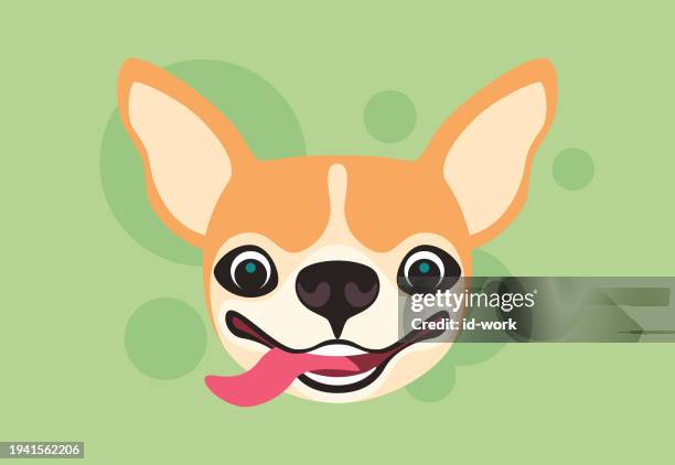 funny dog making a face - lap dog stock illustrations