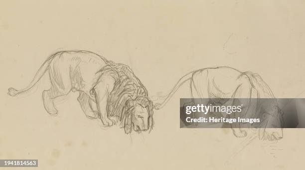 Study of Lions, circa 1900. Gérôme, one of the most successful academic artists and teachers in France during the second half of the 19th century,...