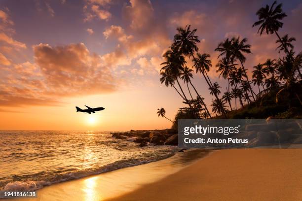 beach at sunset and a flying plane. summer vacation on tropical resort - travel stock pictures, royalty-free photos & images
