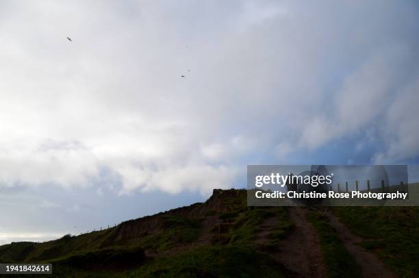 man on the heads - st bees stock pictures, royalty-free photos & images