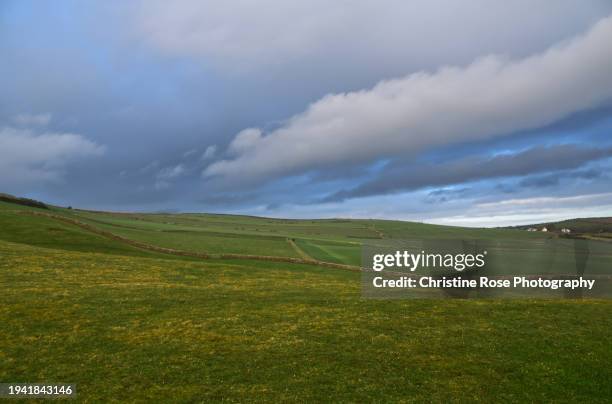 green fields - st bees stock pictures, royalty-free photos & images