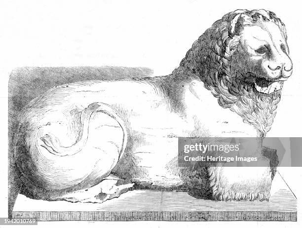 Colossal marble lion from Cnidus, 1861. '...a magnificent example of colossal Greek sculpture...Its dimensions are 10ft. In length and 6ft. In...