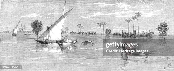 Inundation of the Nile: view below Kafr Zayat, showing the railway-bridge, and train off the line, 1861. 'The Nile has risen this year seven feet and...