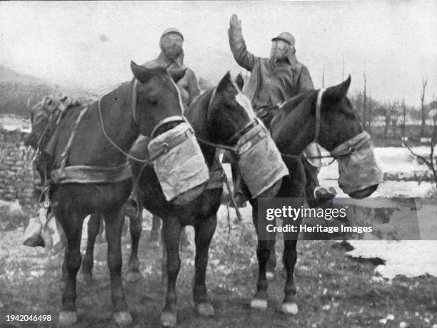 Les precautions contre les gaz; Les chevaux ont aussi leur appareil special', 1917. From "L'Album de la Guerre 1914-1919, Volume 1" [L'Illustration,...