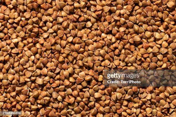 full frame macro shot of brown buckwheat background. food texture - buckwheat stock pictures, royalty-free photos & images