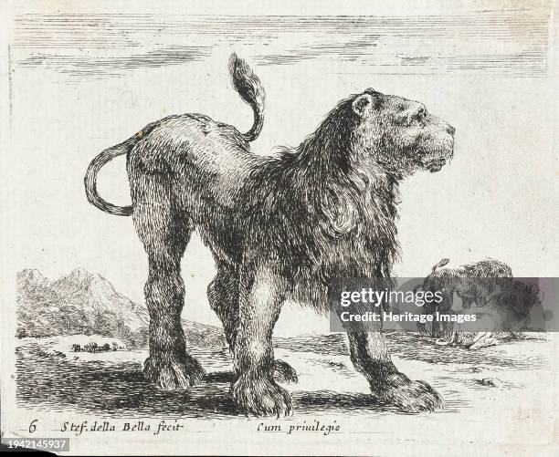 Lion, 1641. From Diversi animali, pl. 6. Creator: Stefano della Bella.