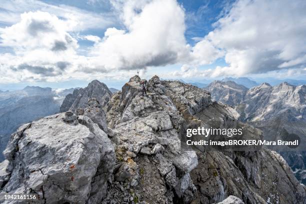 rocky mountain peak on a narrow ridge, summit of the watzmann mittelspitze, watzmann crossing, berchtesgaden national park, berchtesgaden alps, bavaria, germany, europe - watzmann 個照片及圖片檔