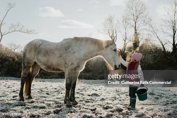 a little girl pets her white horse in a frosty field - short phrase stock pictures, royalty-free photos & images