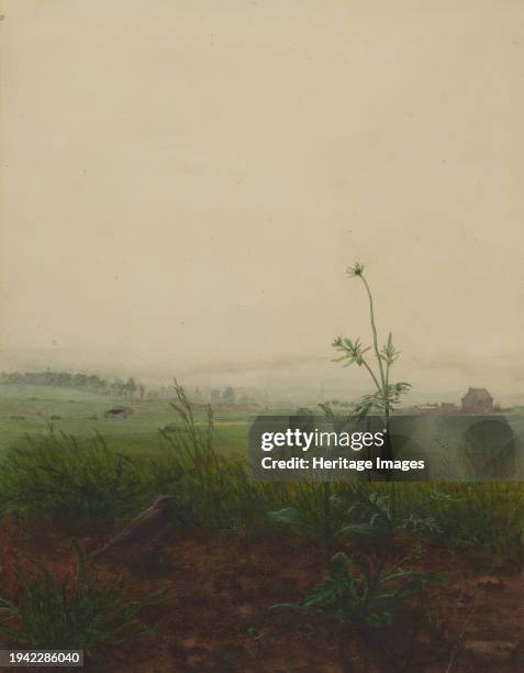 Blackbird and Scabious in front of a Landscape, 1864. Creator: Leon Bonvin.