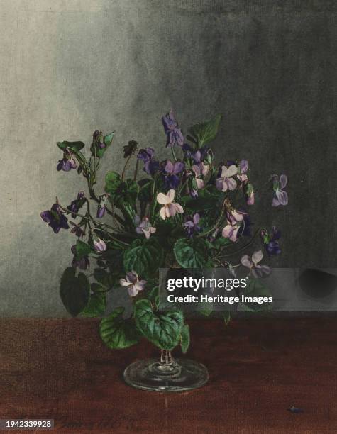 Bouquet of Violets, 1863. Creator: Leon Bonvin.