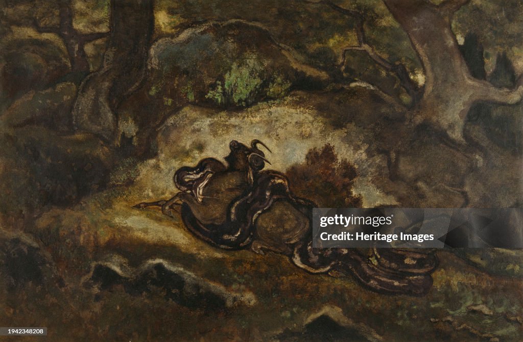 Python Crushing a Gnu, circa 1850s-1860s. The setting is the Forest ...