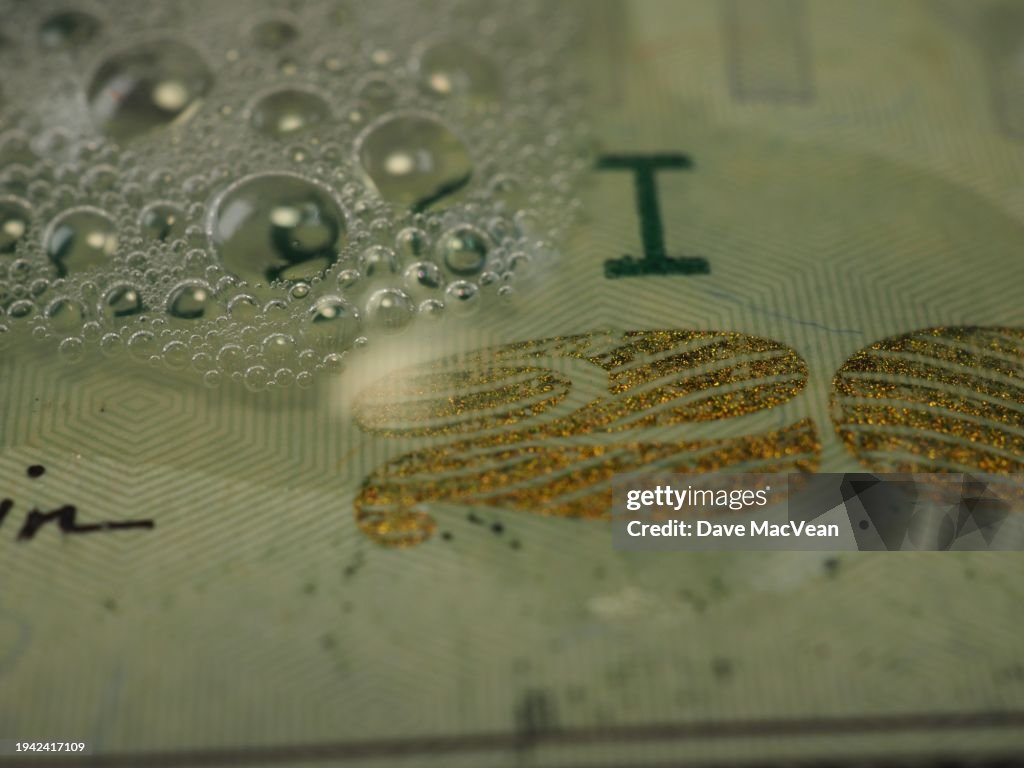 Washing a Crisp Twenty Dollar Bill